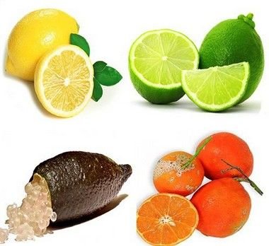 Kit 4 Muda Limão Caviar,Tahiti,Siciliano,Cravo Enxertado